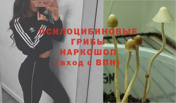 шишки Баксан