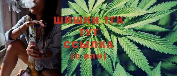 ПСИЛОЦИБИНОВЫЕ ГРИБЫ Инсар