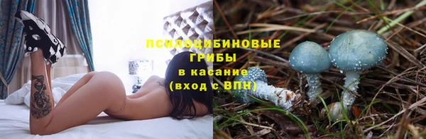 шишки Баксан